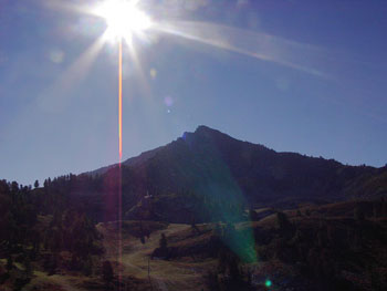 Dent au soleil
