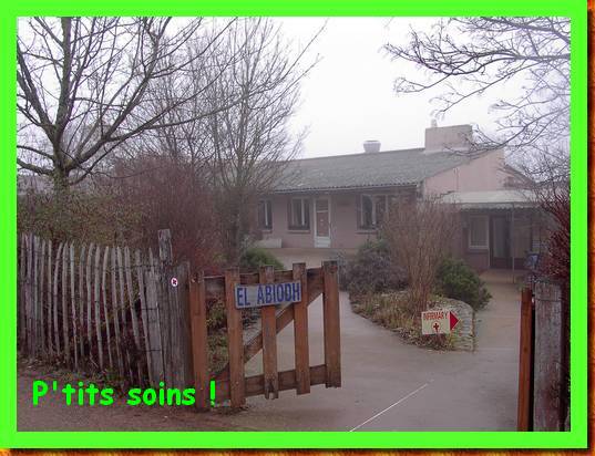 taize05081