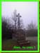 taize05056
