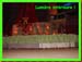 taize05067